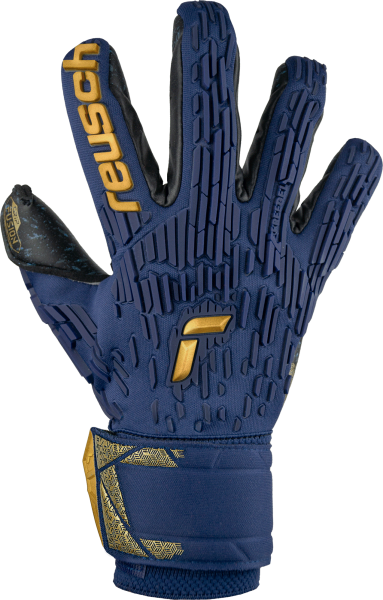 Reusch Attrakt Freegel Fusion Goaliator 5470995 4411 blue orange front